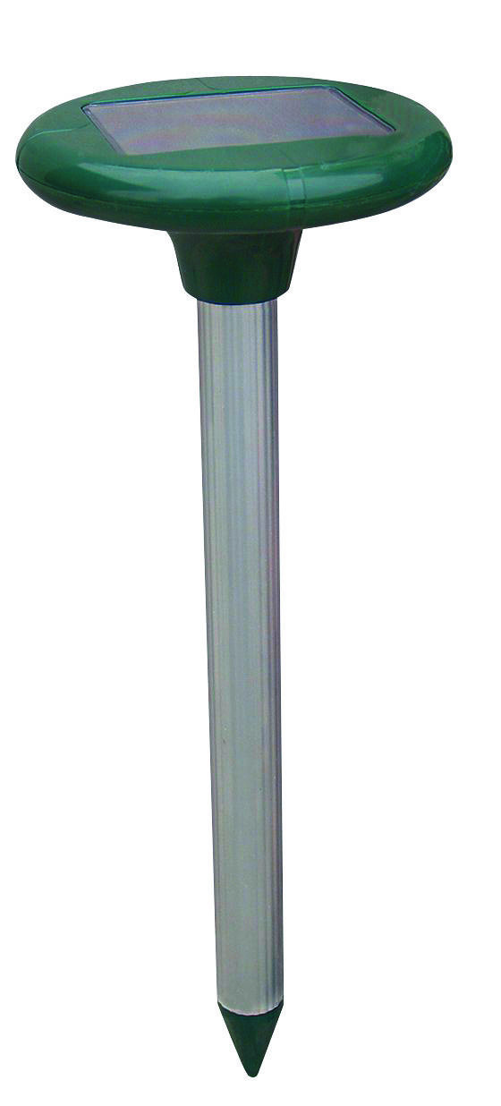 2998714.jpg