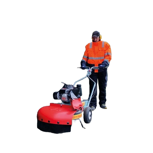 Westermann Wildkrautbürste WKB 660