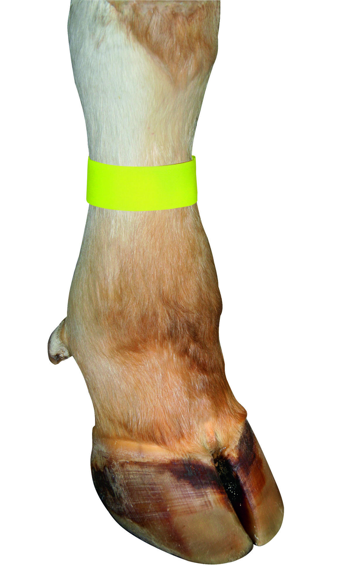2089 2089.jpg