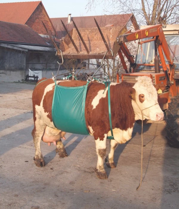 Zubehör Geburtshilfe