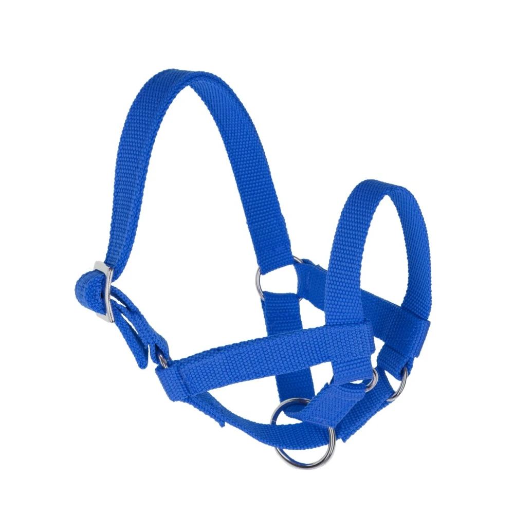 Halfter Gr. 60 Lamas und Alpakas, blau